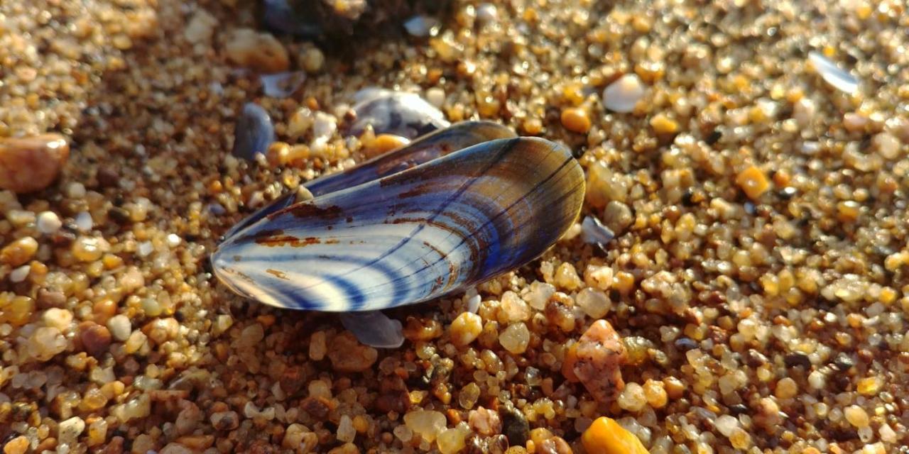 Chambre D'Hotes Pres De La Plage Pornichet Zewnętrze zdjęcie